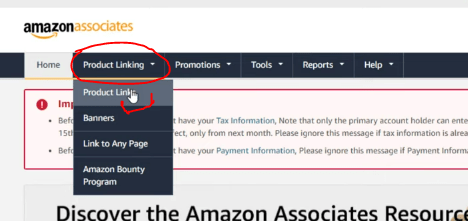 amazon affiliate 13