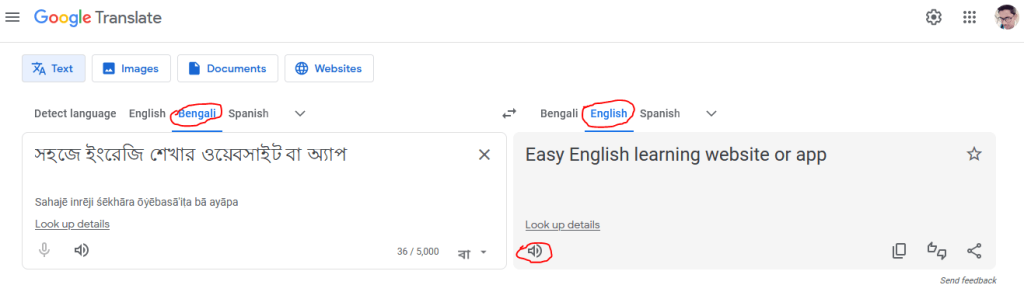 Google ট্রান্সলেট থেকে সহজে ইংরেজি শিখুন