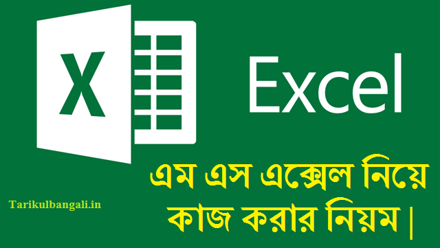 এম এস এক্সেল নিয়ে কাজ করার নিয়ম (Working with MS Excel)