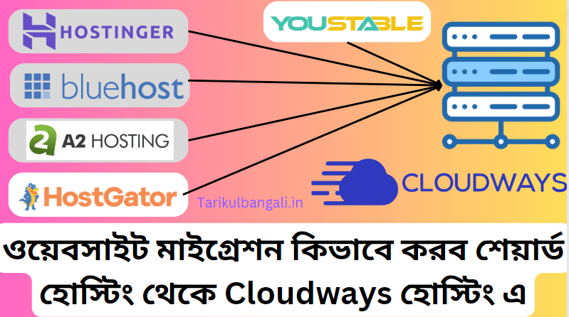 ওয়েবসাইট মাইগ্রেশন কিভাবে করব